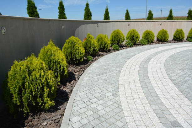 Best Driveway Repair Near Me  in Gorevle, IL